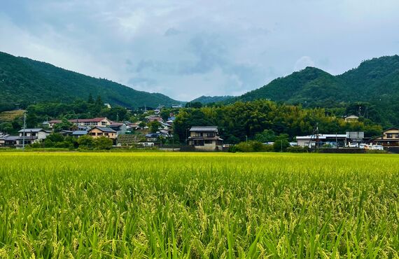 半田市で農地・生産緑地を相続したら？売る・貸す・残すの判断